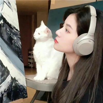 企鹅课