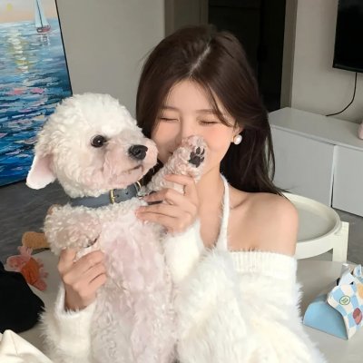 改道人生